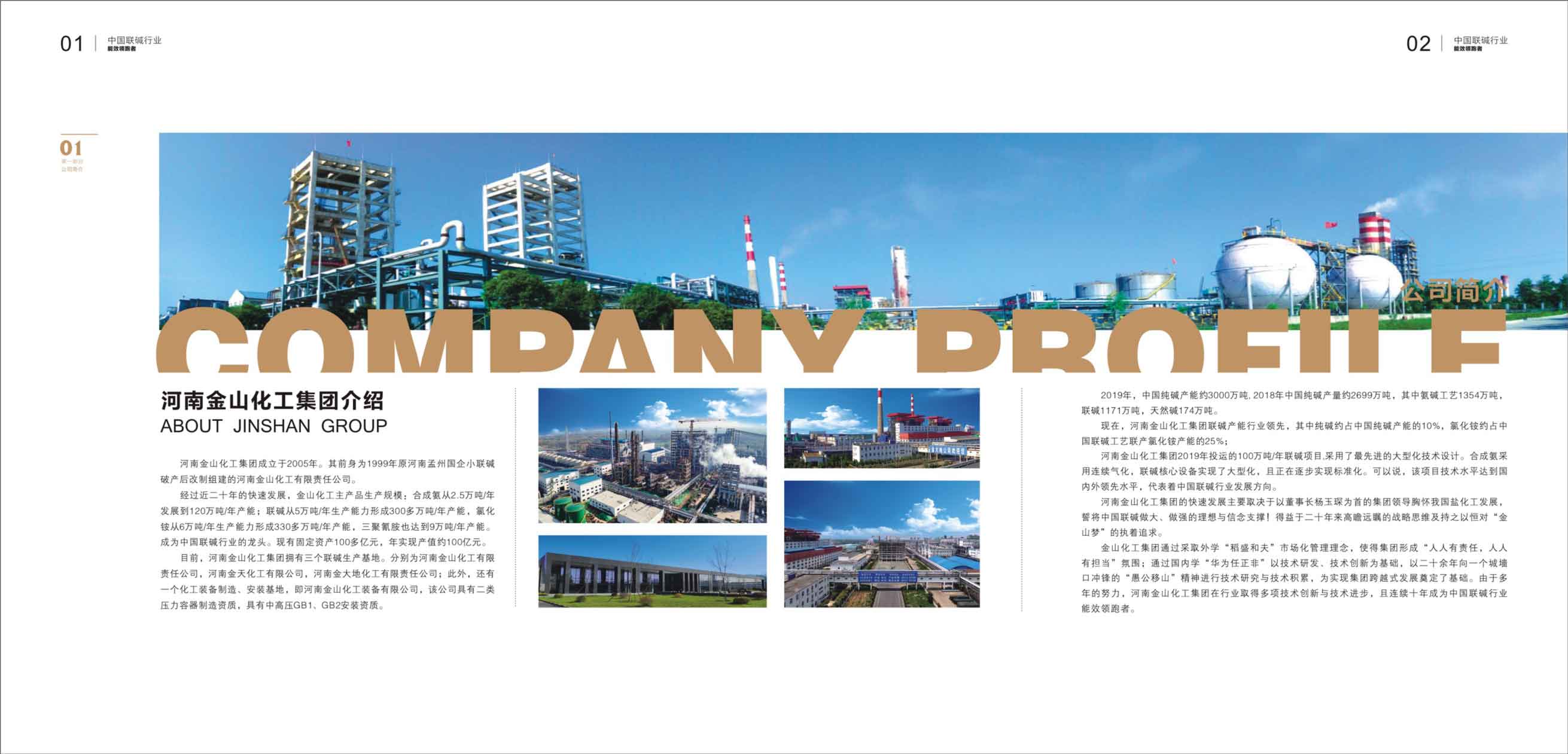 河南金山化工簡介